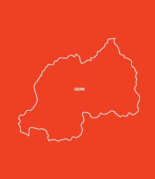 Grow Beyond Rwanda's Borders