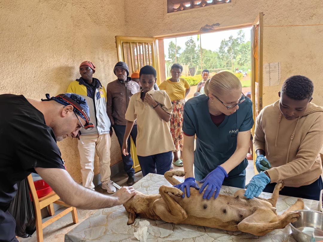 Imbwa z'i Kayonza n'i Ngoma zakonwe ku bufatanye na WAG Rwanda