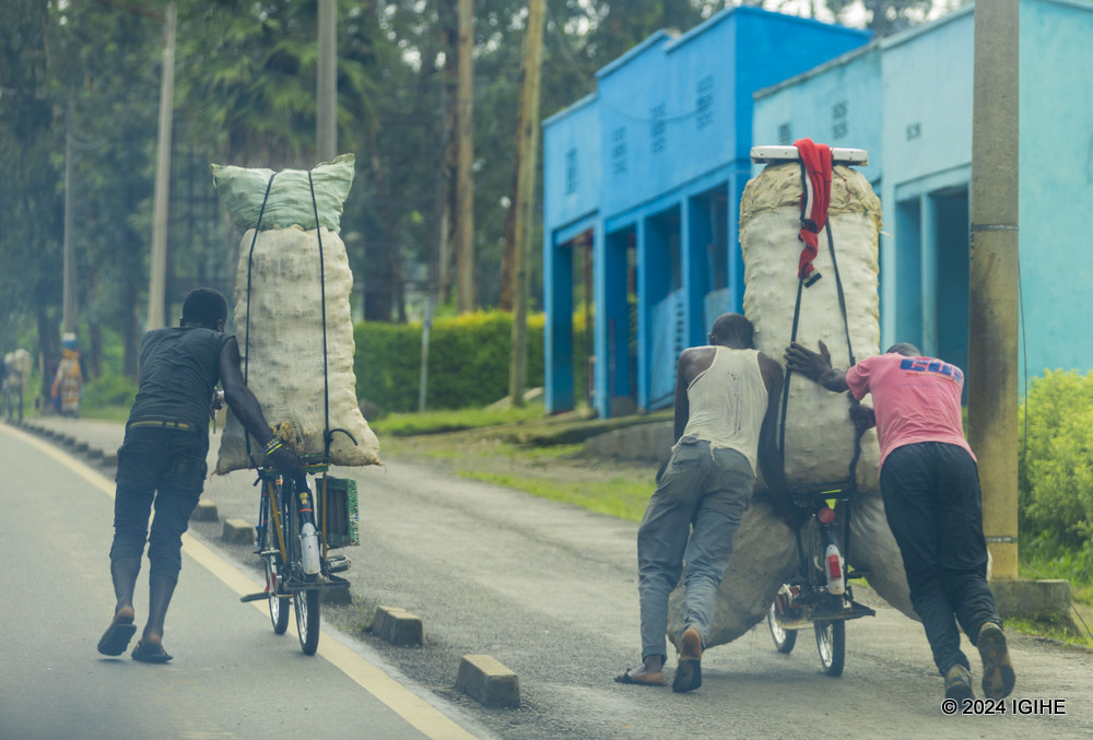 Iyo umusaruro umaze kuva mu murima, abanyonzi barifashishwa cyane mu kuwugeza ku isoko. Aha bari mu kazi ko kugeza ibirayi ku baguzi