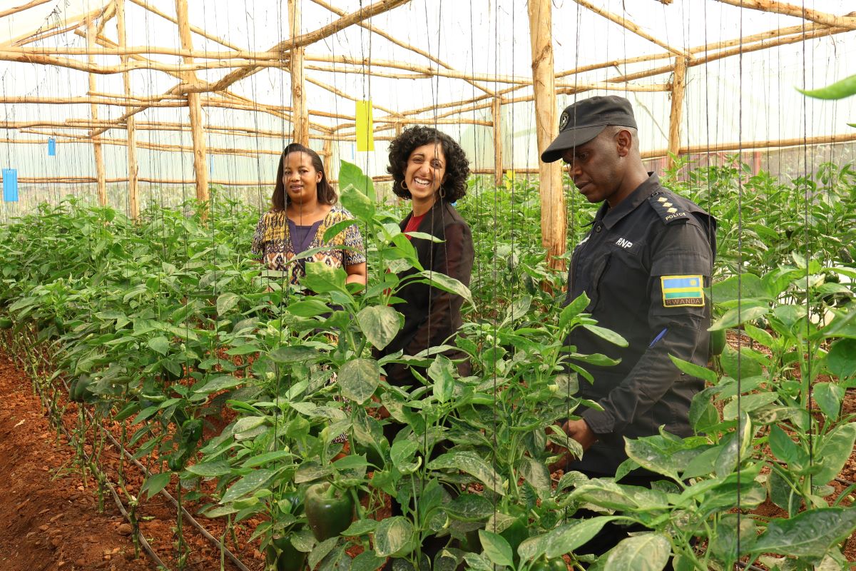 Abubakiwe iyi nzu banashyiriweho ibice bihingwamo imboga
