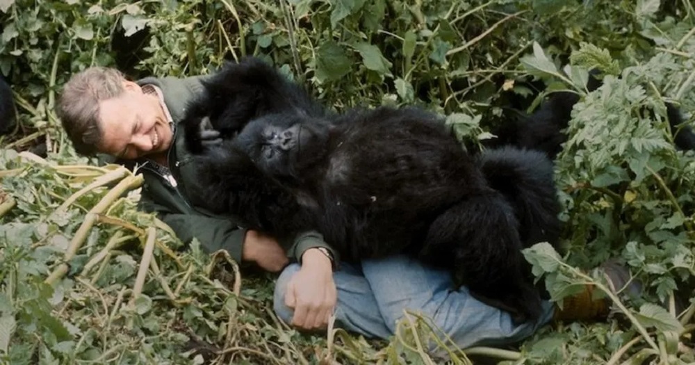David Attenborough ahura na Pablo bwa mbere mu 1979