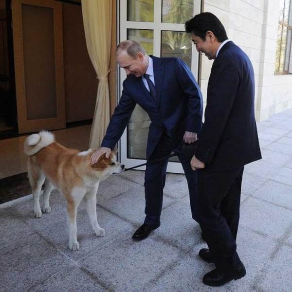 Aha hari mu 2014 ubwo Putin (ibumoso) yerekaga Shinzo Abe imbwa bamuhaye nk'impano mu 2012