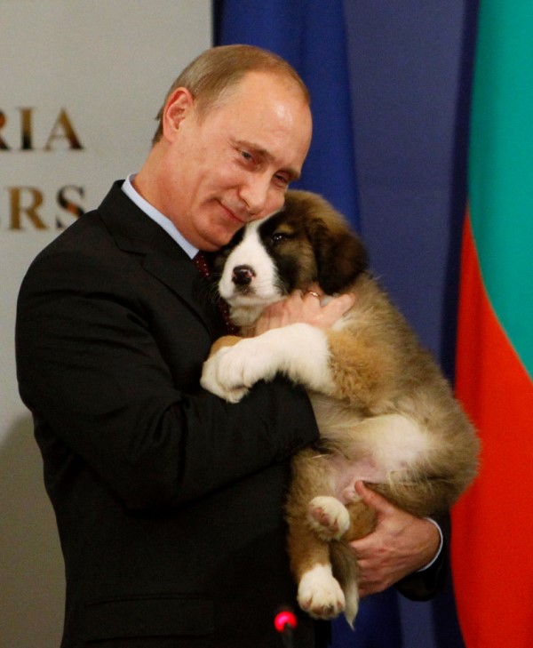 Perezida Putin azwiho gukunda imbwa mu buryo butangaje