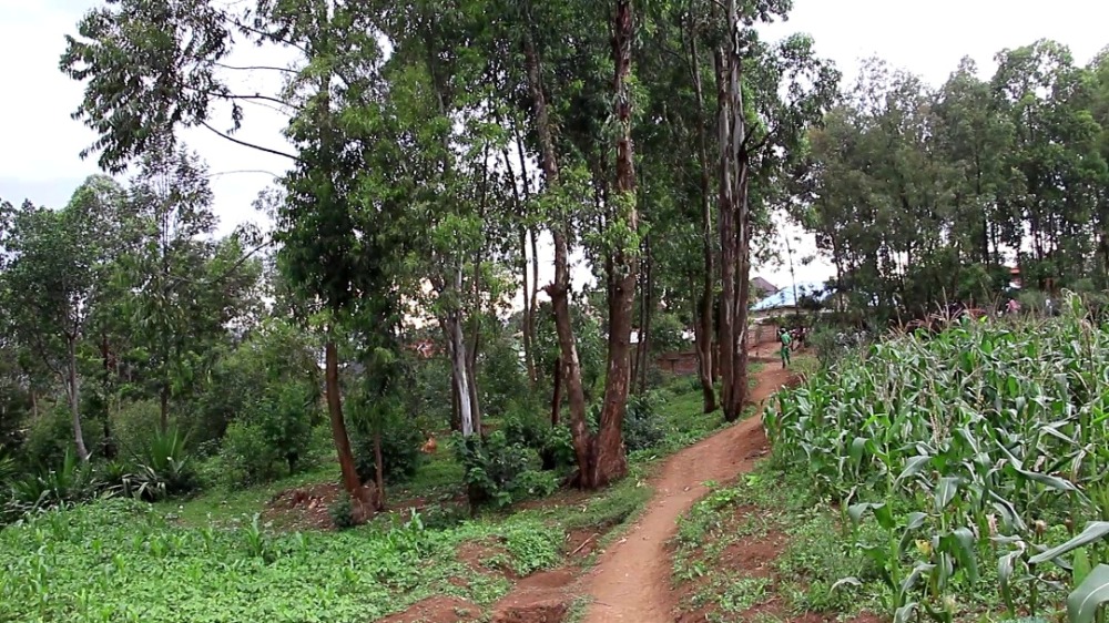 Muri aka gashyamba ni ho umurambo bawusanze