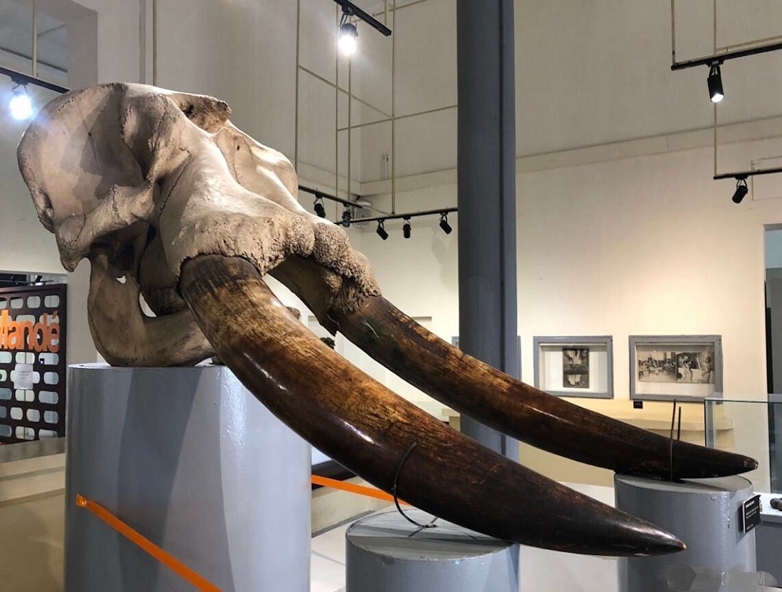 Muri Musée des Civilisations de Côte d'Ivoire harimo ibintu bitandukanye byabayeho muri iki gihugu