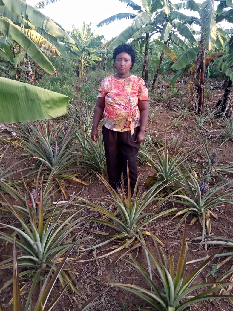 Uwamwezi Mercienne ari mu murima we w'inanasi
