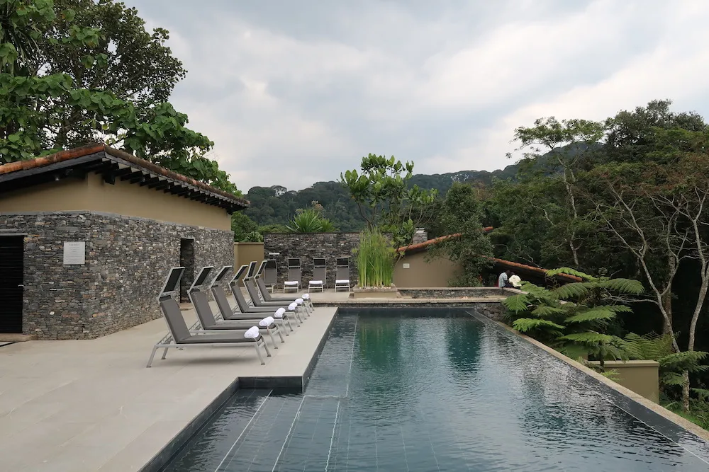 Imbere muri One& Only Nyungwe House iba mu mahumbezi y'ibiti