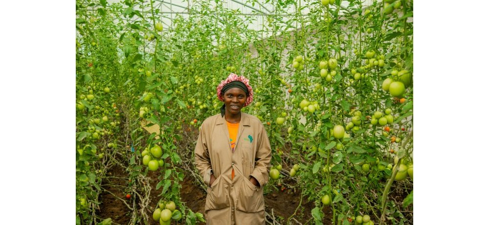 Abaturiye aka gace  bashyiriweho ibikorwa byo guhinga muri green house