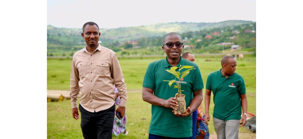 Buri rugo rwo mu Mudugudu wa Bidudu rwatewemo ibiti bine bya avoka