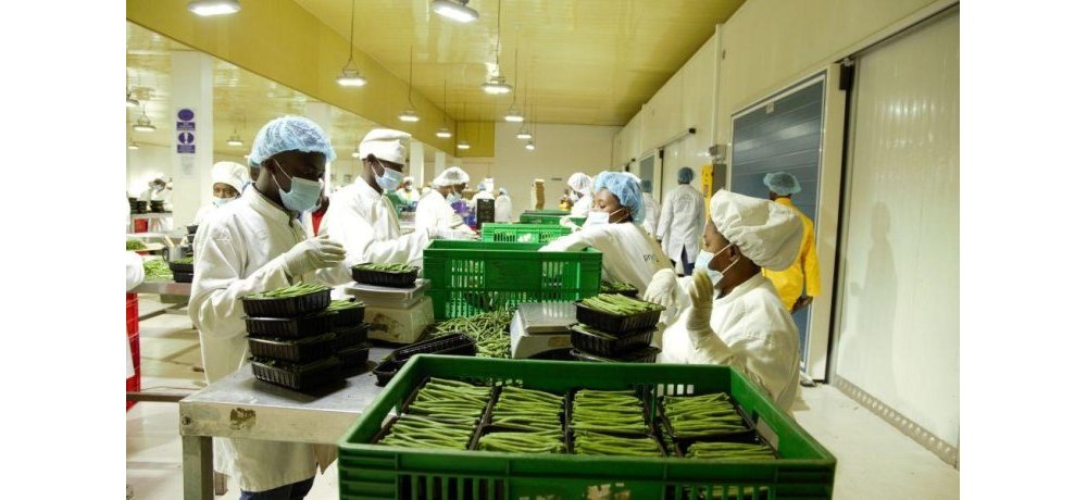 Imboga zoherejwe mu mahanga zinjirije u Rwanda ibihumbi 319,8$