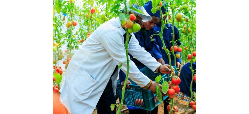 Bimwe mu bikorwa byakozwe ku ikubitiro ni ukwigisha abaturage bazimurwa ubuhinzi bugezweho binyuze mu nzu z’ubuhinzi zigezweho (green houses)