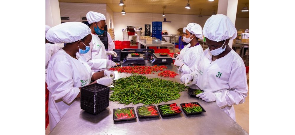 Ibikomoka ku buhinzi n’ubworozi byinjirije u Rwanda miliyari 14,1 Frw mu minsi itanu