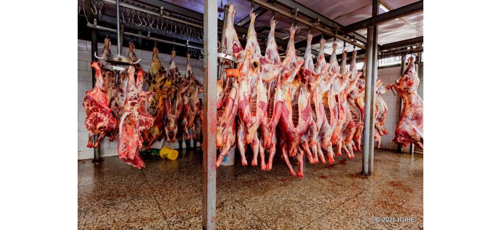 Abatanga serivisi zo kubaga bavuze ko abakiliya biyongereye ku bwinshi 