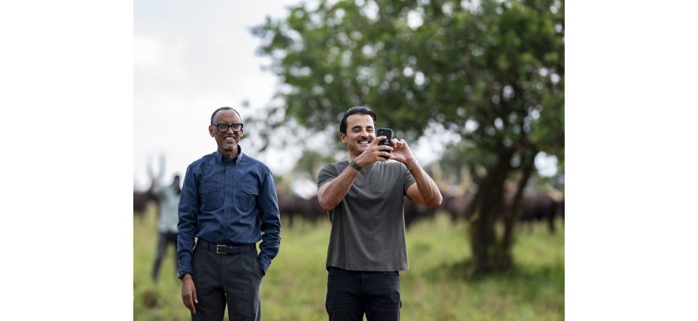  Perezida Kagame yagabiye inka z’inyambo Emir wa Qatar, Sheikh Tamim bin Hamad Al Thani