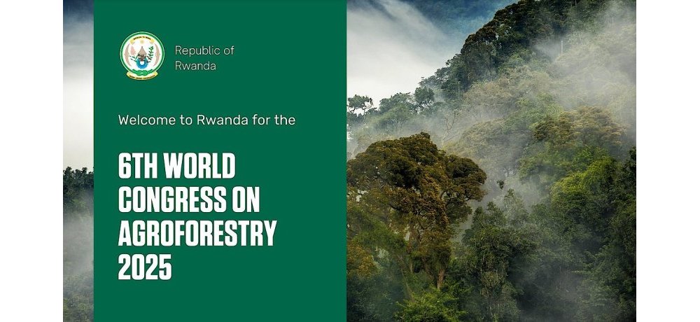U Rwanda rugiye kwakira ihuriro mpuzamahanga ku buhinzi bw’ibiti bivangwa n’imyaka