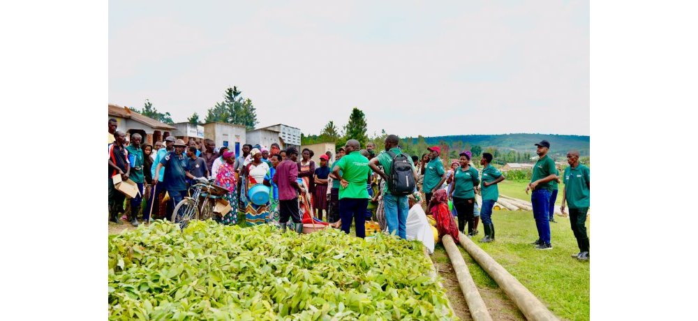 Mu Karere ka Gatsibo mu Murengwa wa Kiziguro Serena Hotel yateyeyo ibiti 2500
