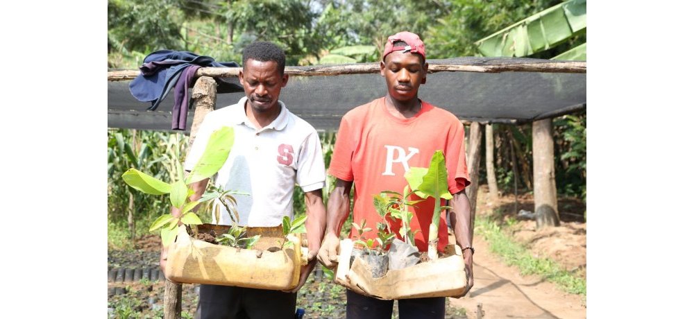 Ibi by’imbuto biri guterwa birimo  imyembe, amaronji na avoka 