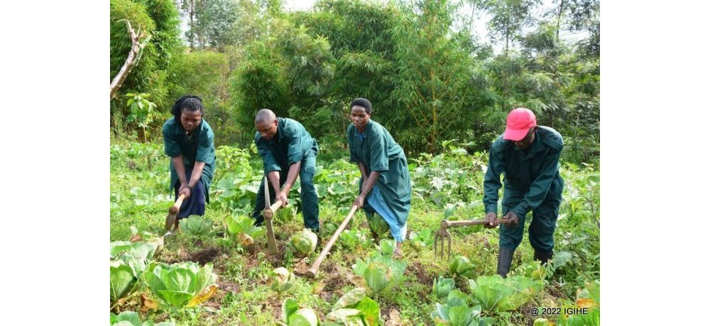 Bimwe mu byo batunganya ni ibyo bihingira ku butaka bwabo 