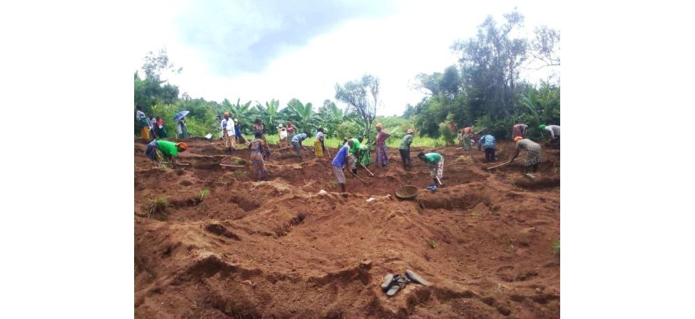 Ubuhinzi bw’imyumbati bwitwa Zai Pit, buzwiho guhangana n’imihindagurikire y’ibihe kuko bufata amazi kubera ibinogo biba biri mu murima